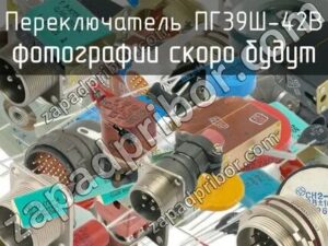 ПГ39-42В